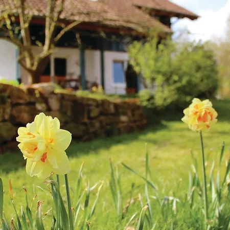 Holiday home Three-bedroom Holiday In *